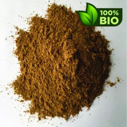 BOMBAY LATTE DESTEINADO ECO