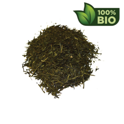SENCHA UCHIYAMA PREMIUM
