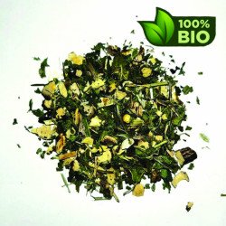 URTICA - URTICAE BIO