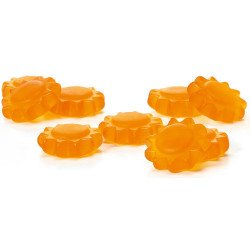 GIRASOLES DE JENGIBRE Y...